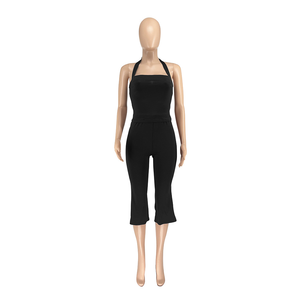 Women Spring Backless Halter Neck Sleeveless Vest and Pants Two Piece Set